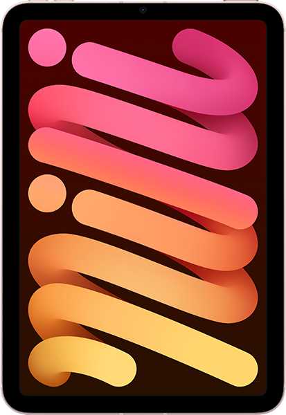 Apple iPad mini (6.Gen) Cellular 256 GB Rosé Bundle mit 1 GB LTE